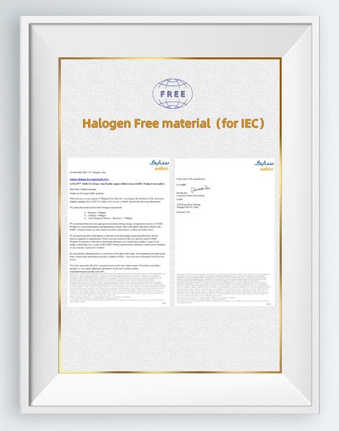 Çin SAMTION INTERNATIONAL LIMITED Sertifikalar